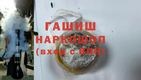 шишки Чердынь