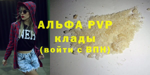 шишки Чердынь