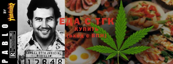 шишки Чердынь