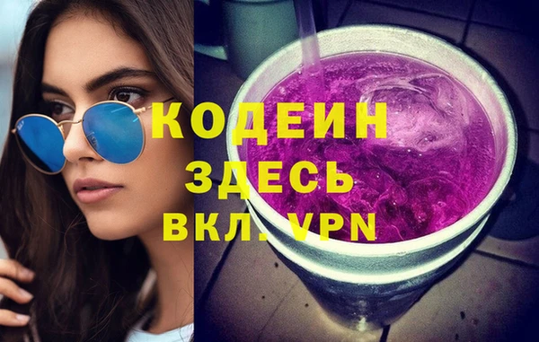 шишки Чердынь