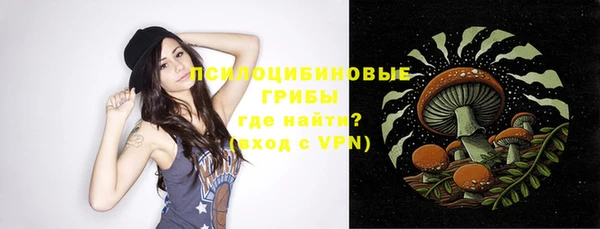 шишки Чердынь