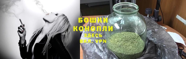гашик Чекалин