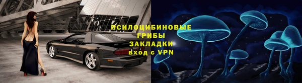 гашик Чекалин