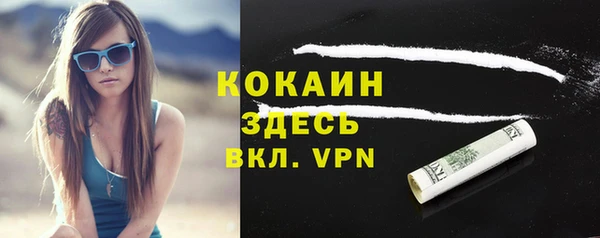 шишки Чердынь