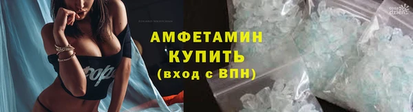 шишки Чердынь