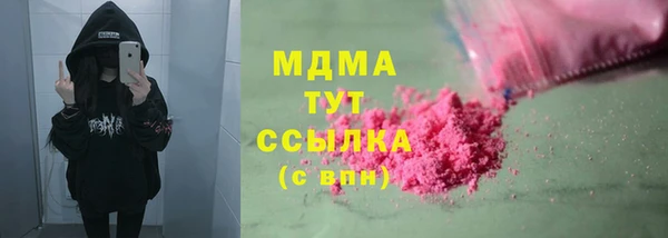шишки Чердынь