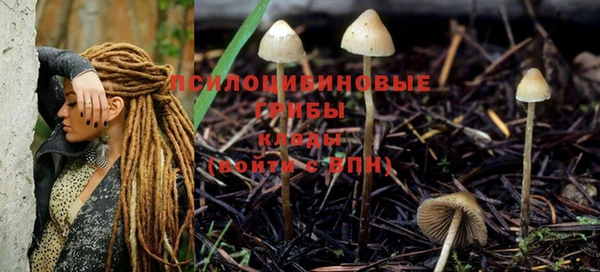 шишки Чердынь