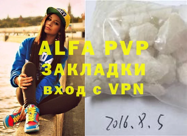 шишки Чердынь