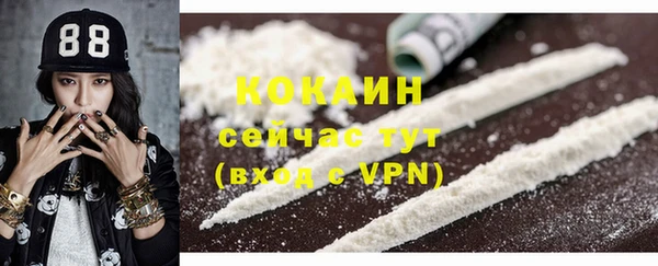 гашик Чекалин