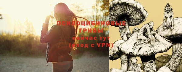 шишки Чердынь