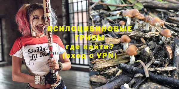 тгк Чегем