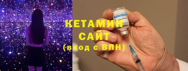 шишки Чердынь