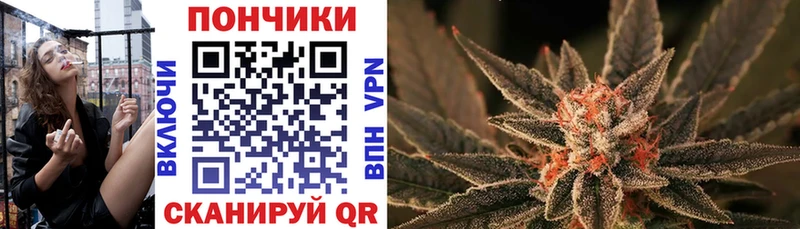Купить  Болотное  Бошки Шишки SATIVA & INDICA 